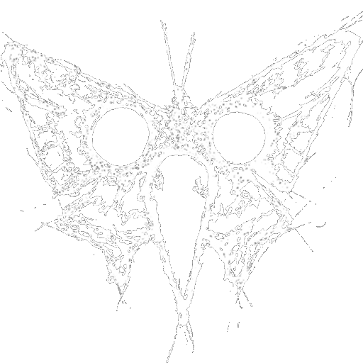 american vulgaria mothbird logo