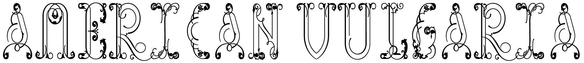 american vulgaria