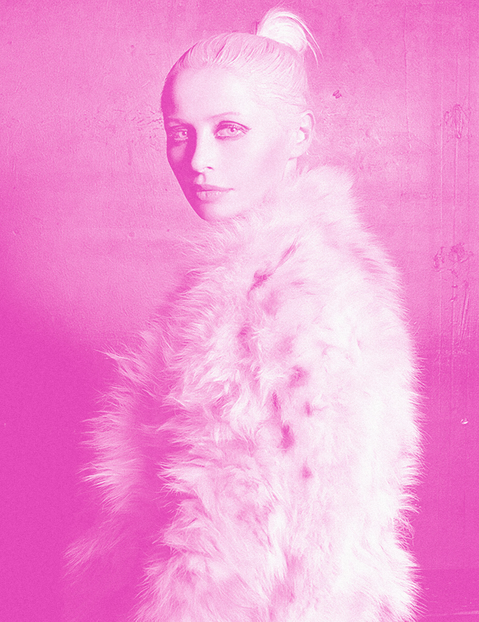 wendy james interview american vulgaria