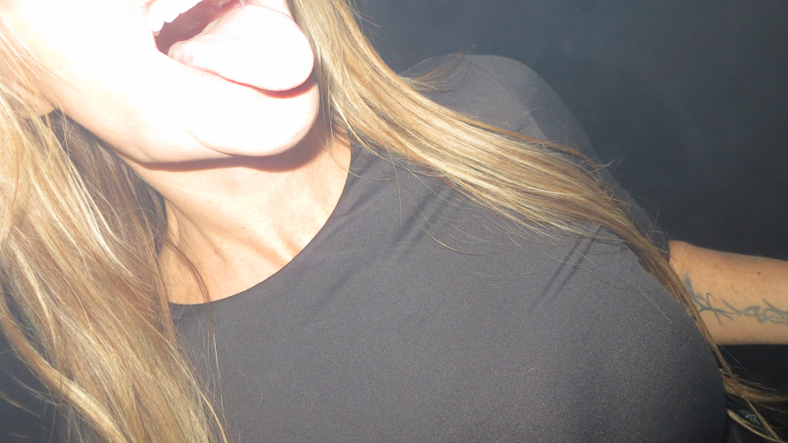 american vulgaria home page