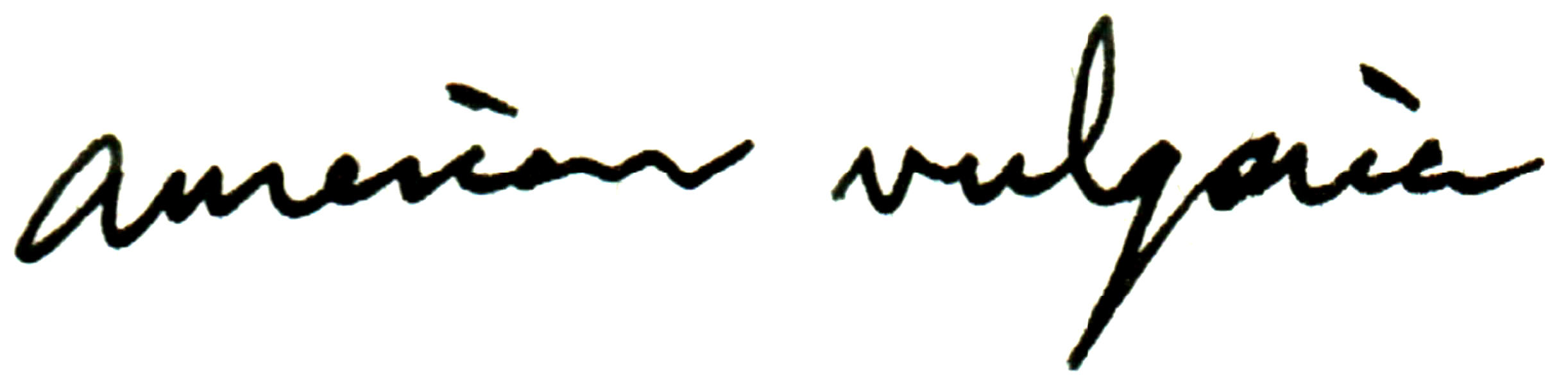 american vulgaria logo